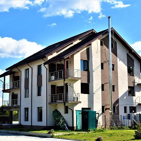 Pensiunea Alexandra Corbii Mari Bagian luar foto